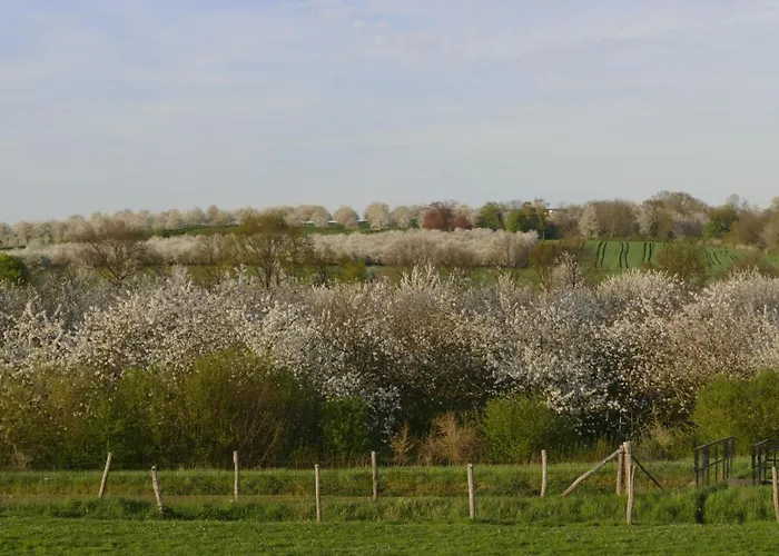 Meschermolen 2 Eijsden