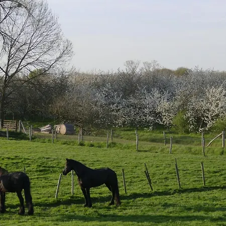Meschermolen 2